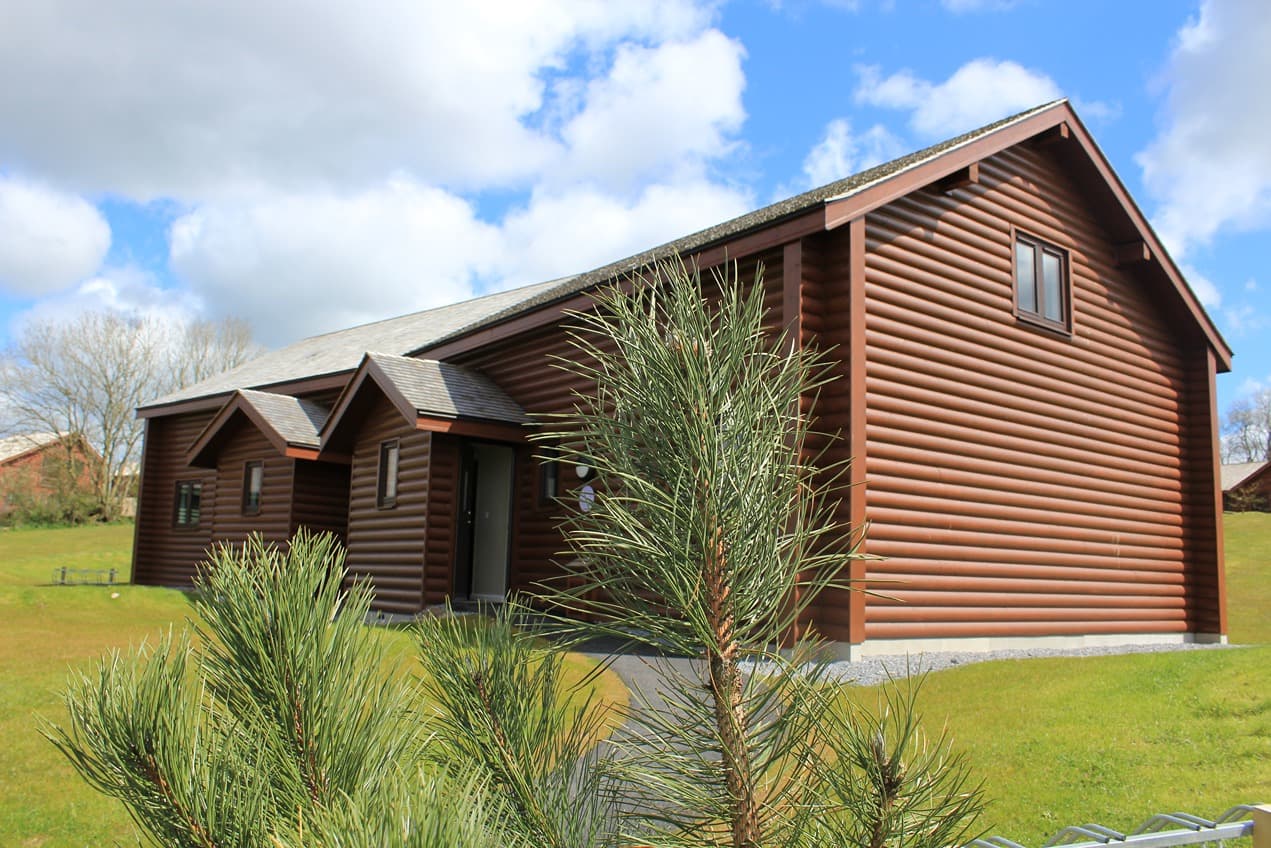 Tenby External With A Tree