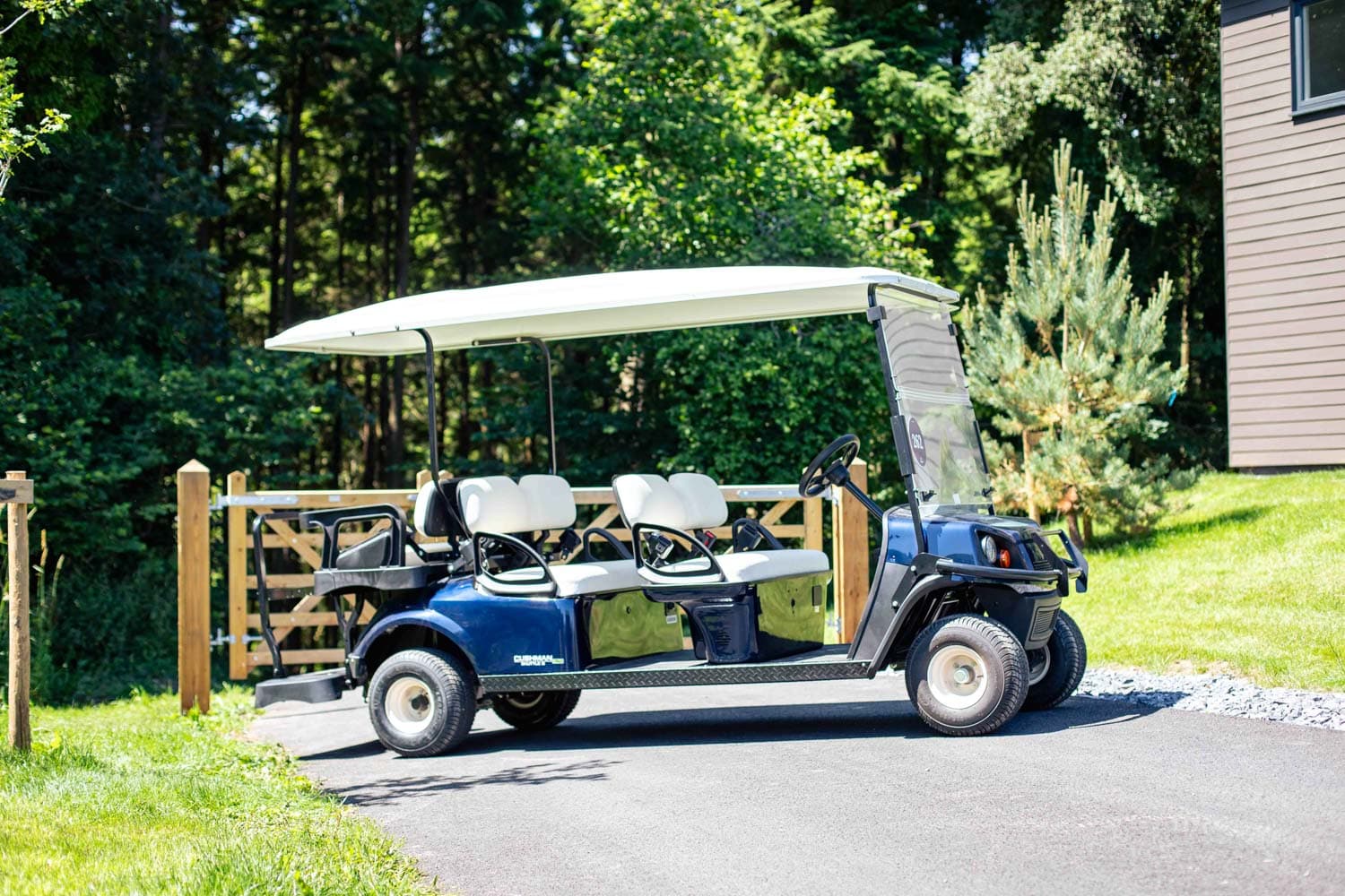 Buggy at Bluestone