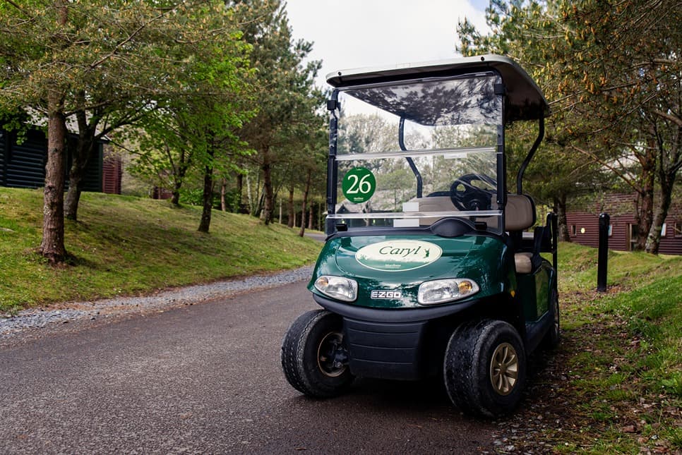 Buggy Near Forrest View
