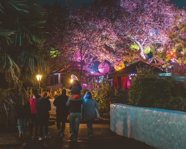 Bluestone Wishing Tree