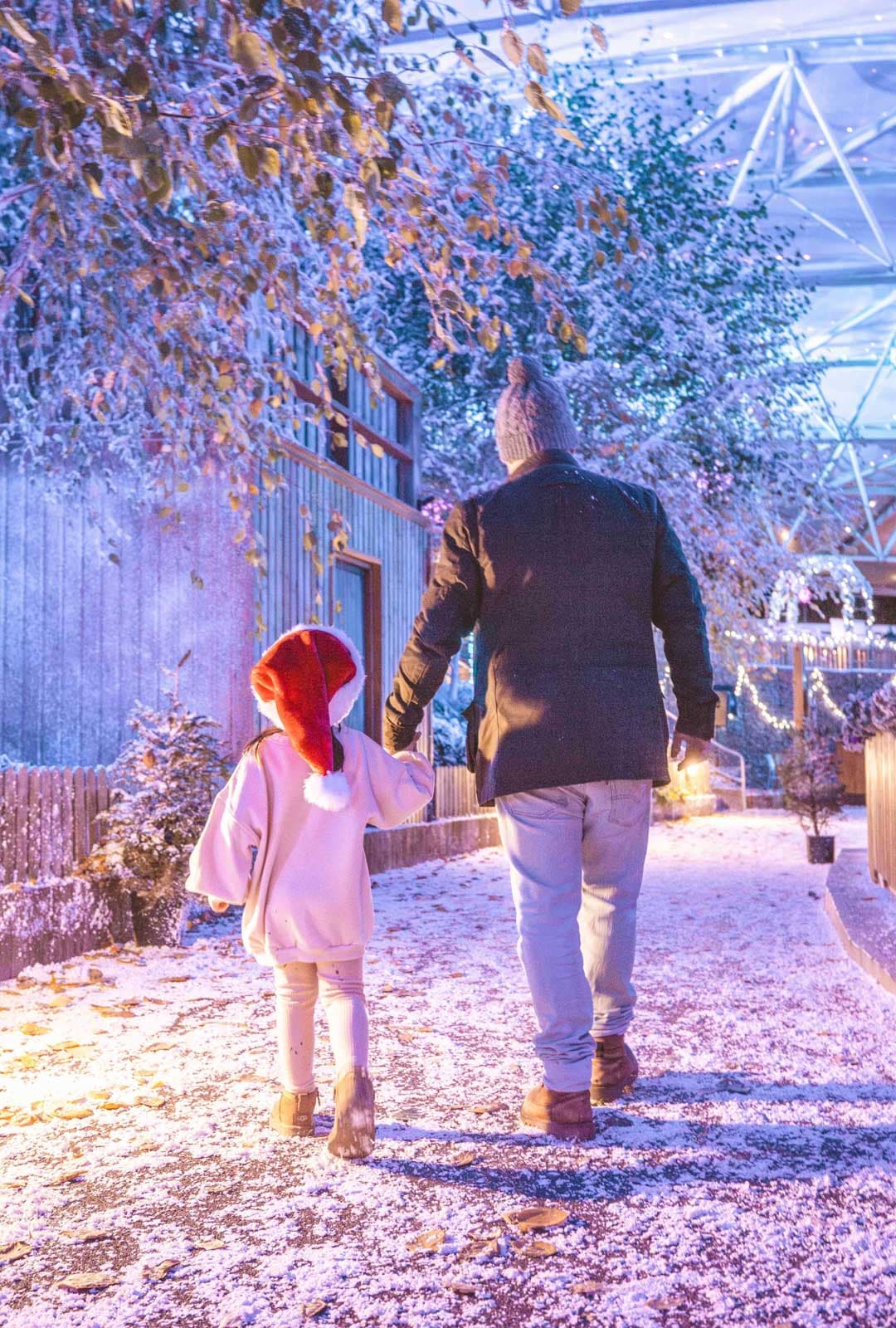 Christmas Breaks & Holidays UK | Bluestone Wales