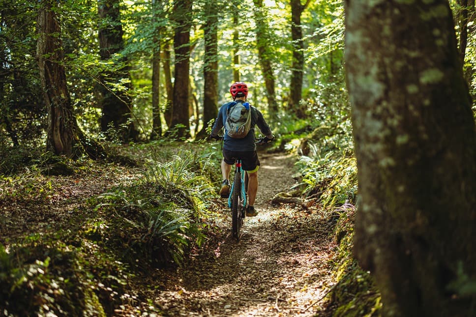 Electric Mountain Bike Riding Away