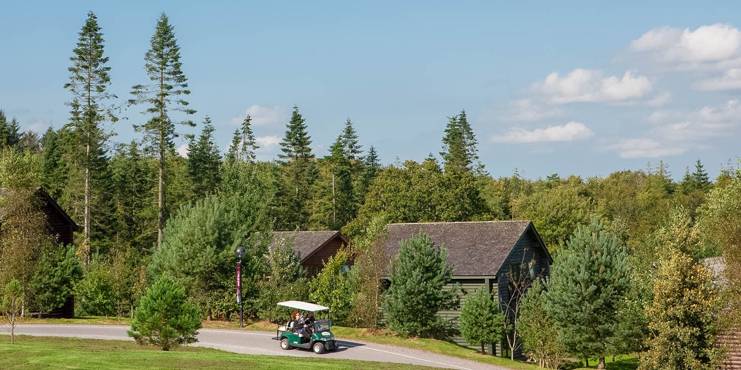 Bluestone Resort