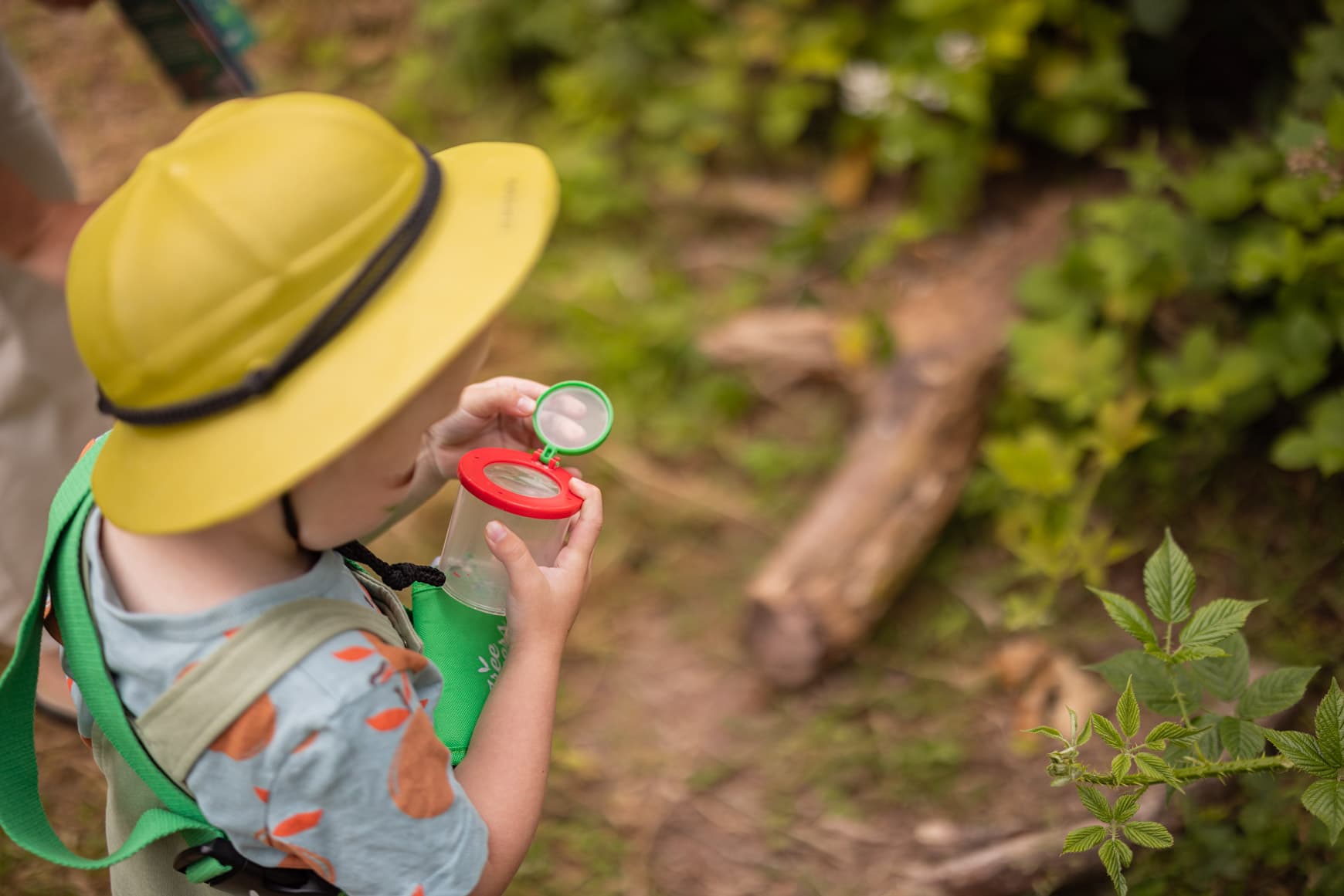 Outdoor detectives bug jar