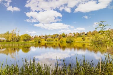 Lake Summer Bluestone