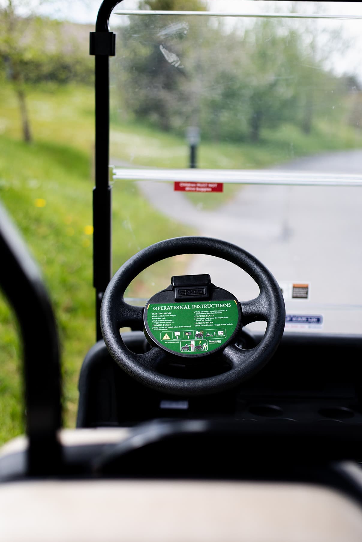 Buggy Steering Wheel