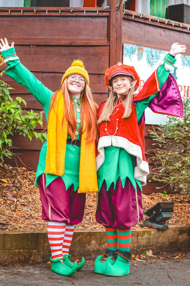 Christmas Countdown Elves