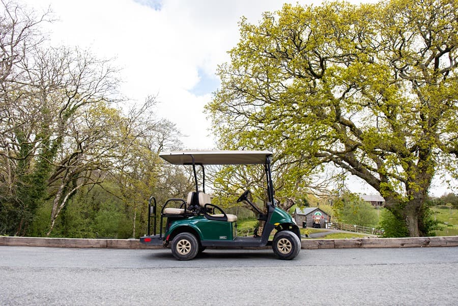 Buggy Near Lake