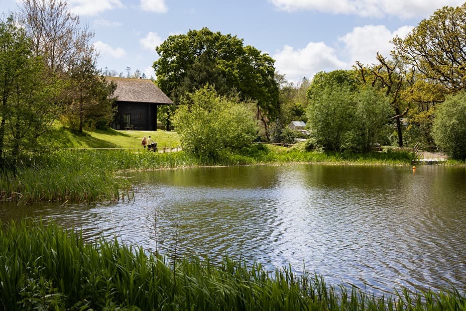 The Lake with couple and pram