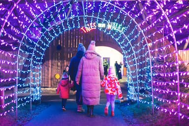 Family Winter Lights Archway Serendome Bluestone