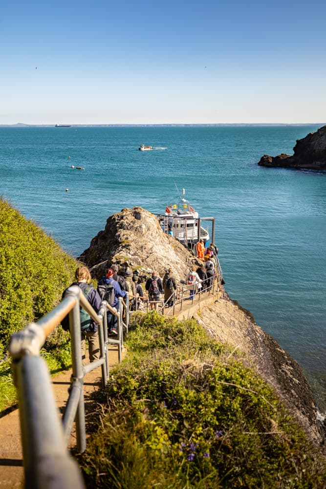 Skomer Island Walking To Boat