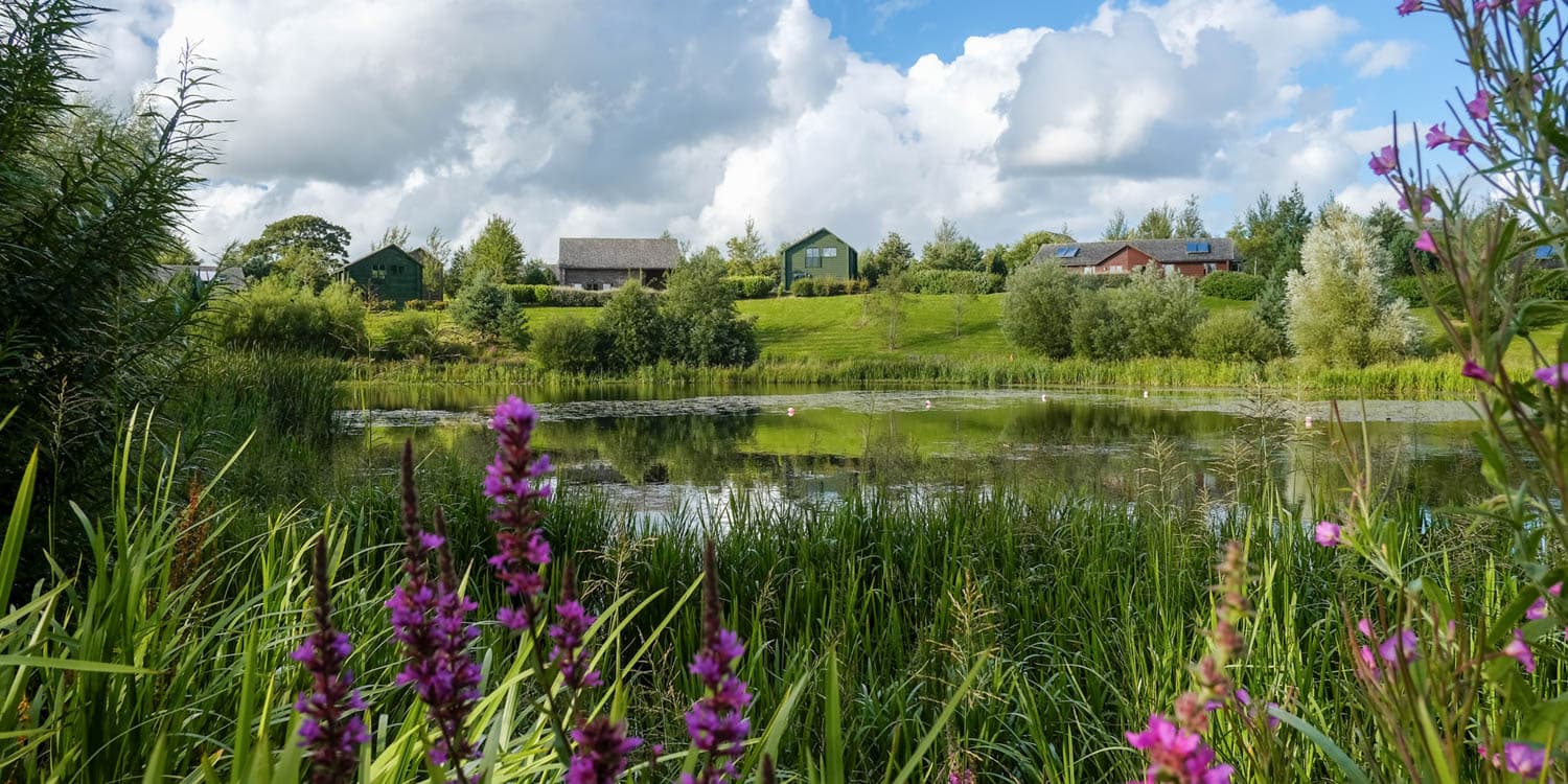 Bluestone Resort Lake