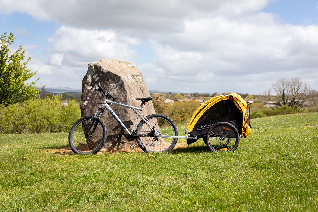 Bike and buggy sale