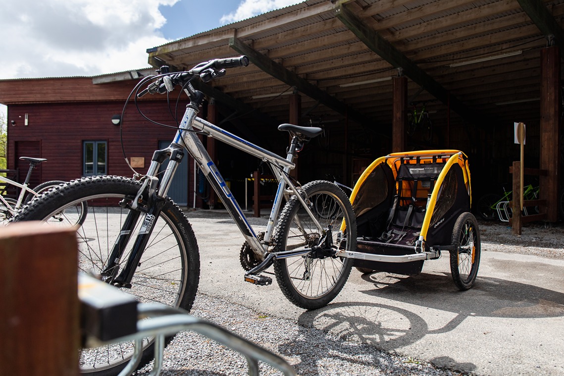 Bicycle buggy clearance